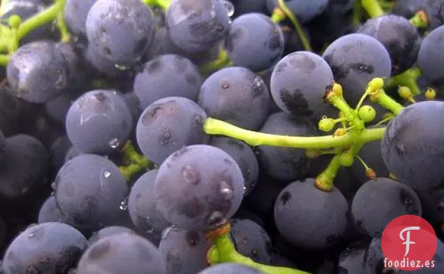 Schiacciata De Mario Batali Con Uvas De Concord Y Semillas De Hinojo