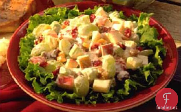 Ensalada de Manzana y Arándanos