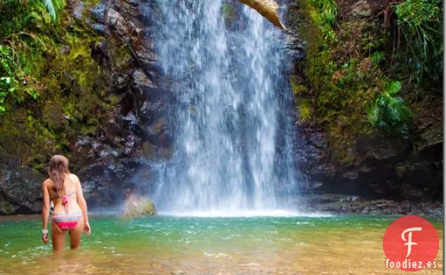 Pizza Caprese y Ensalada de Nueces y Frambuesa Gorgonzola