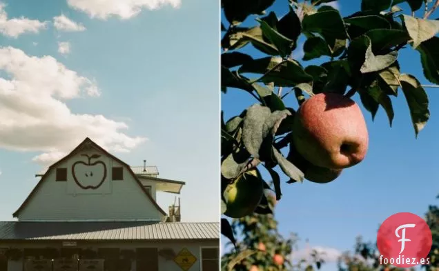 Manzanas Asadas