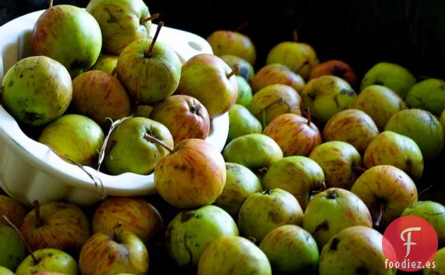 Jalea de Manzana de Setos Silvestres