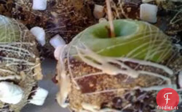 Manzanas Bañadas en Chocolate