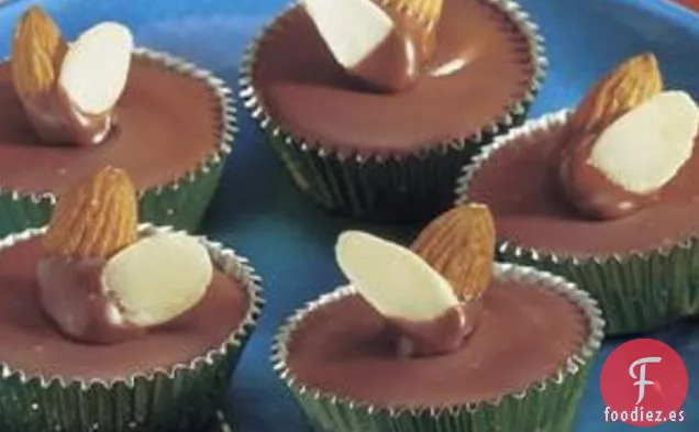 Tassies de Almendra y Albaricoque cubiertos de chocolate
