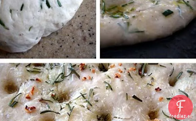 Pollo Asado, Albaricoque Y Panini Brie