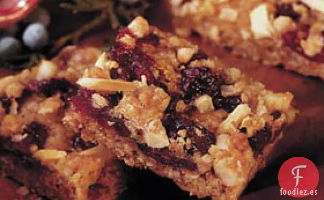 Barritas de Streusel de Albaricoque y Arándanos