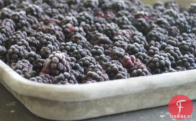 Blackberry Zarzas