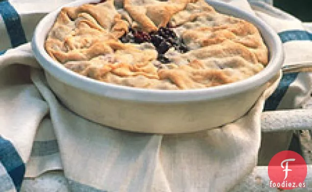 Zapatero de Bayas de Verano