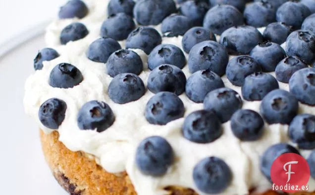 Pastel de Arándanos Helado. Rebanada vegana de primavera