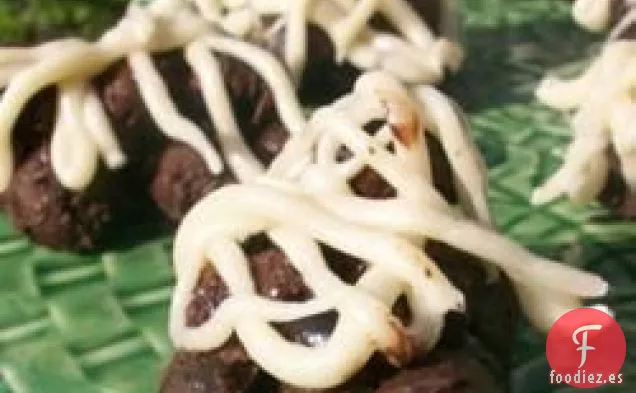 Arándanos Cubiertos de Chocolate