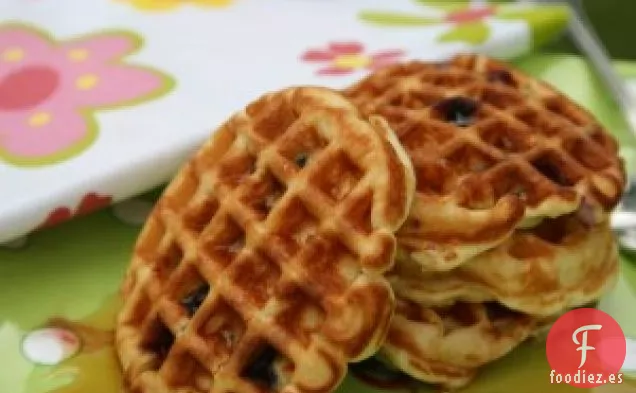 Tortitas de Gofres de Arándanos Orgánicos