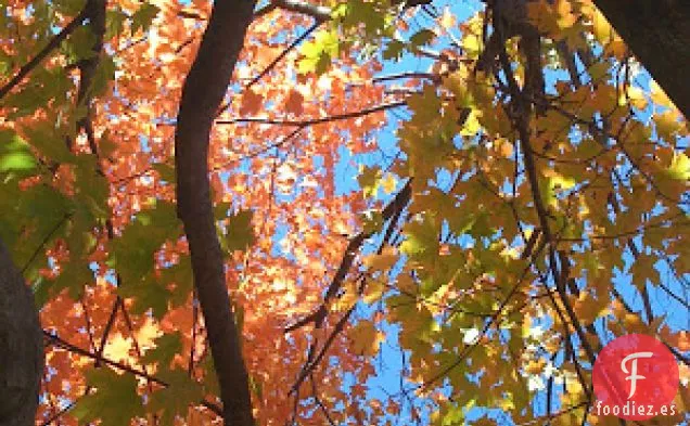 Ensalada de Cosecha de Otoño