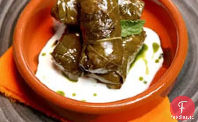 Dolmades de Verduras