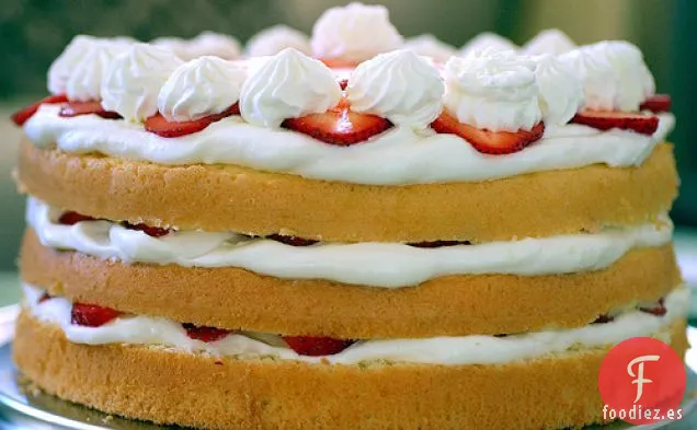 Tarta de Gasa de Fresa