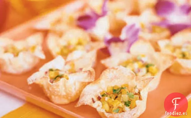 Wontons de Salsa de Mango