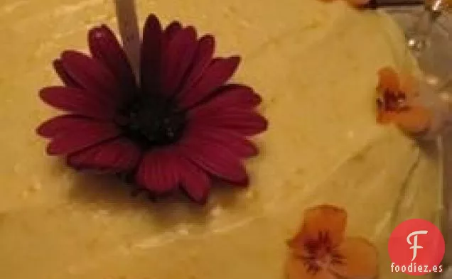 Pastel de Zanahoria VIII