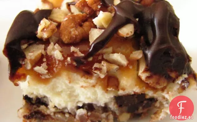 Tarta de Queso de Tortuga