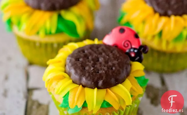 Girasol Cupcakes