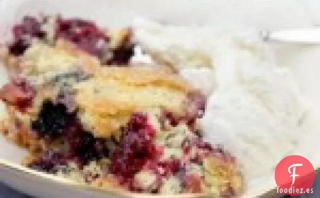 Zapatero de Bayas