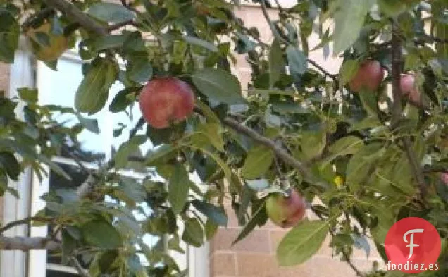 El Pastel de Manzana Definitivo de Jennie