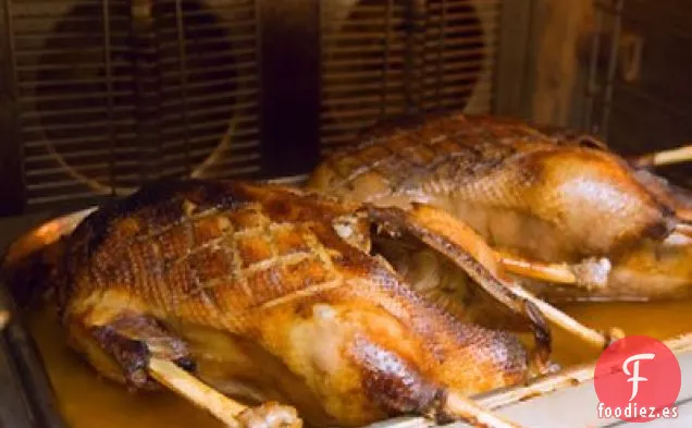 Ganso de Navidad de Shirley Balboa