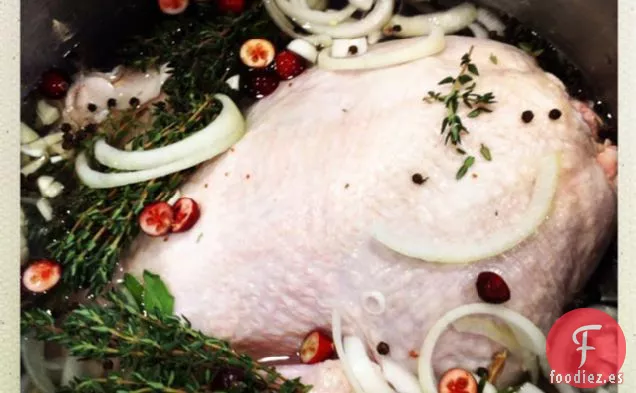 Salmuera de Pavo