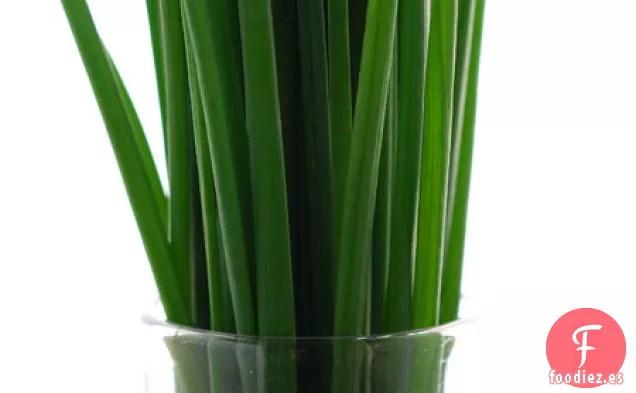 Langostinos Escolares en Maceta