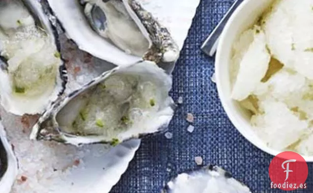 Ostras De Ángel Azul Con Hielo Caliente