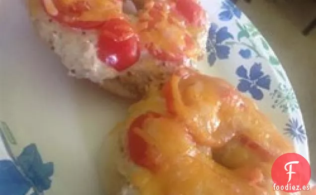 Derretimiento Rápido de Bagel de Atún