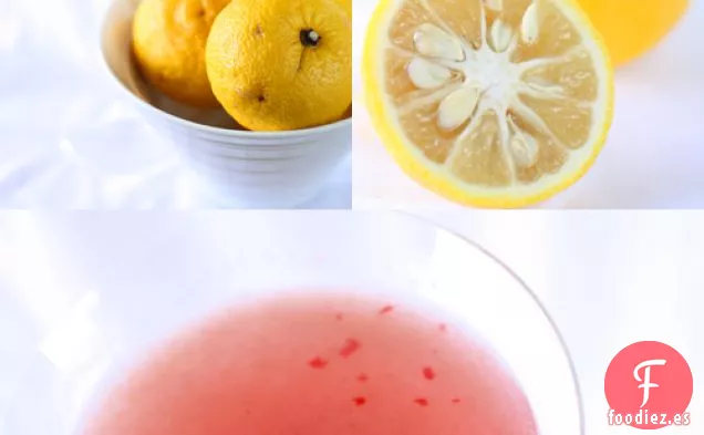 Tokio Cosmo
