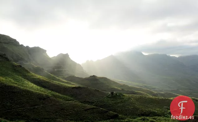 Mojo de inspiración canaria