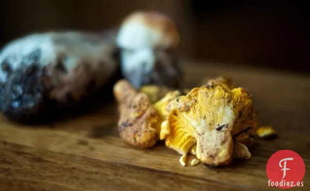 a: mantequilla de setas silvestres