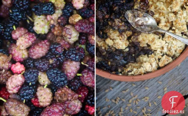 Aquí Vamos Alrededor del Arbusto de Morera: Migajas de Morera y Espino con Mantequilla