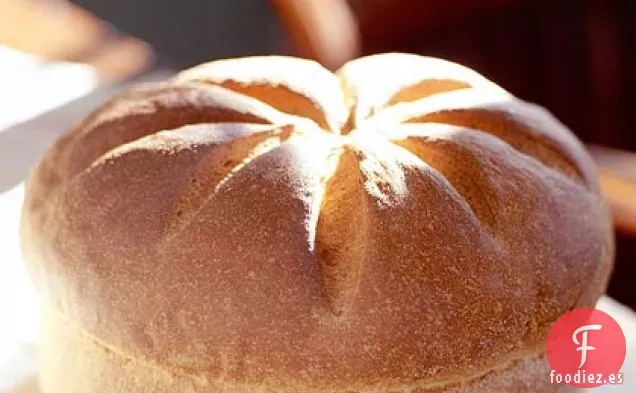 Rondas de Harina de Maíz y Miel