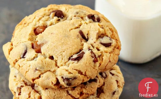 Galletas de Tortuga