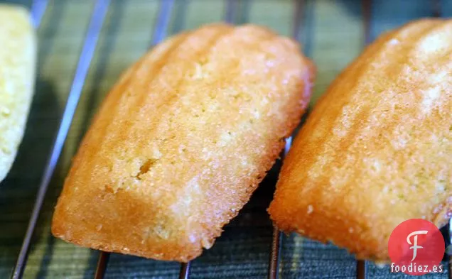 Magdalenas Clásicas