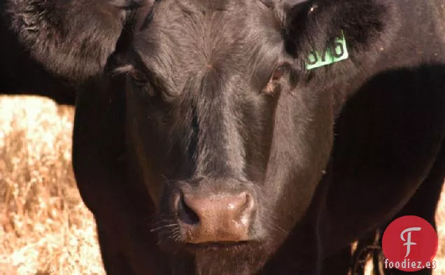 Bistec de Hierro Plano de Whisky