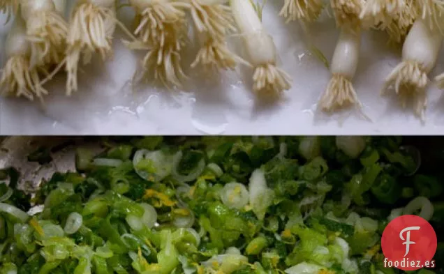 Ensalada de Macarrones