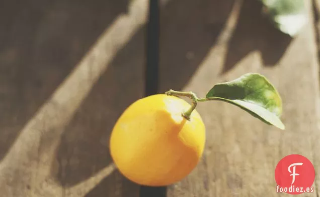 Meyer Cuajada de Limón + Bollos de Crema