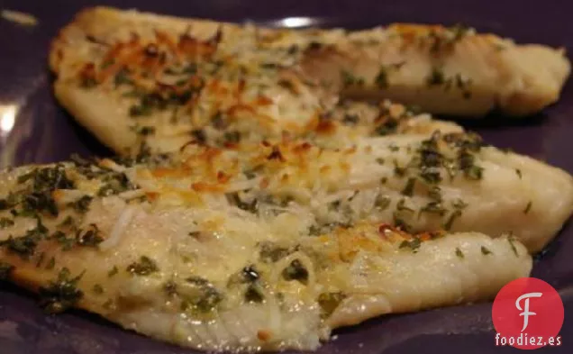 Tilapia Tropical