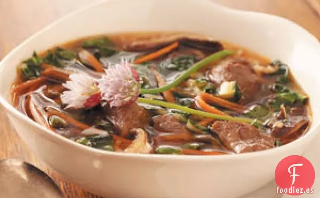 Sopa Asiática de Verduras y Carne de Res