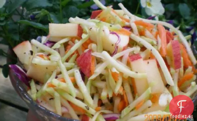 Ensalada de Repollo de Manzana de Weight Watchers (1 punto)