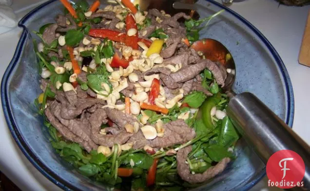 Carne De Res Salteada Con Ensalada De Mango