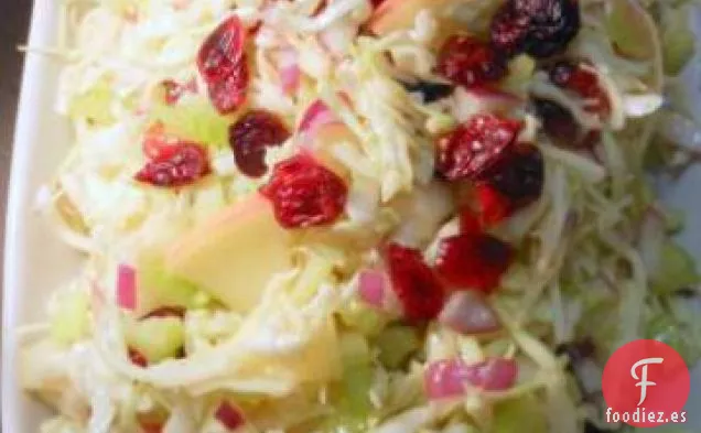 Ensalada De Col Con Manzanas y Arándanos Secos