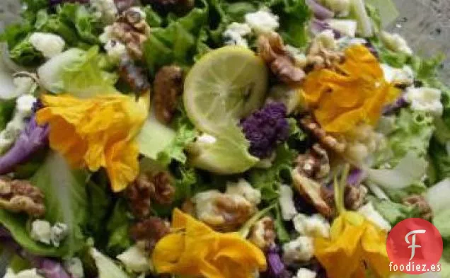 Ensalada de Roquefort de Endibia y Nuez