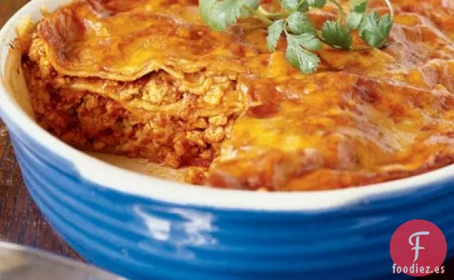 Cazuela de Enchilada de Pavo
