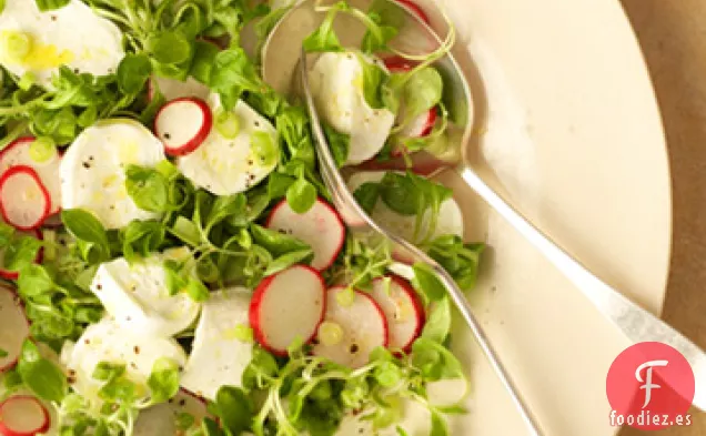 Ensalada de Primavera con Mozzarella Fresca