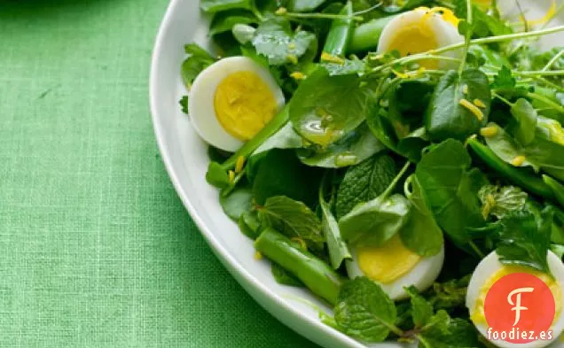 Ensalada de Hierbas de Jardín