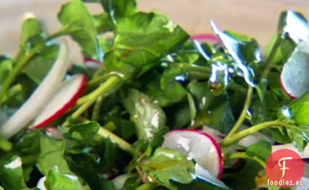 Ensalada de Berros, Cebolla y Rábano