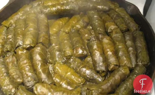 Hojas de Parra Rellenas de Dolmades