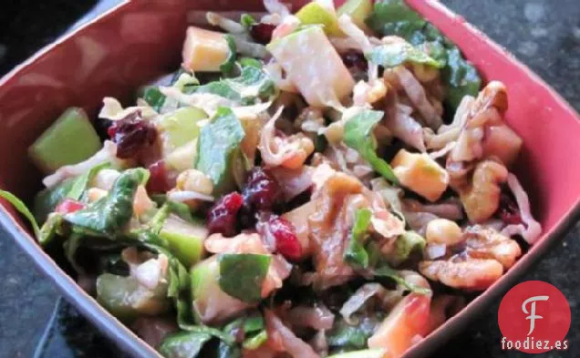 Ensalada De Manzana Con Vinagreta De Arándanos